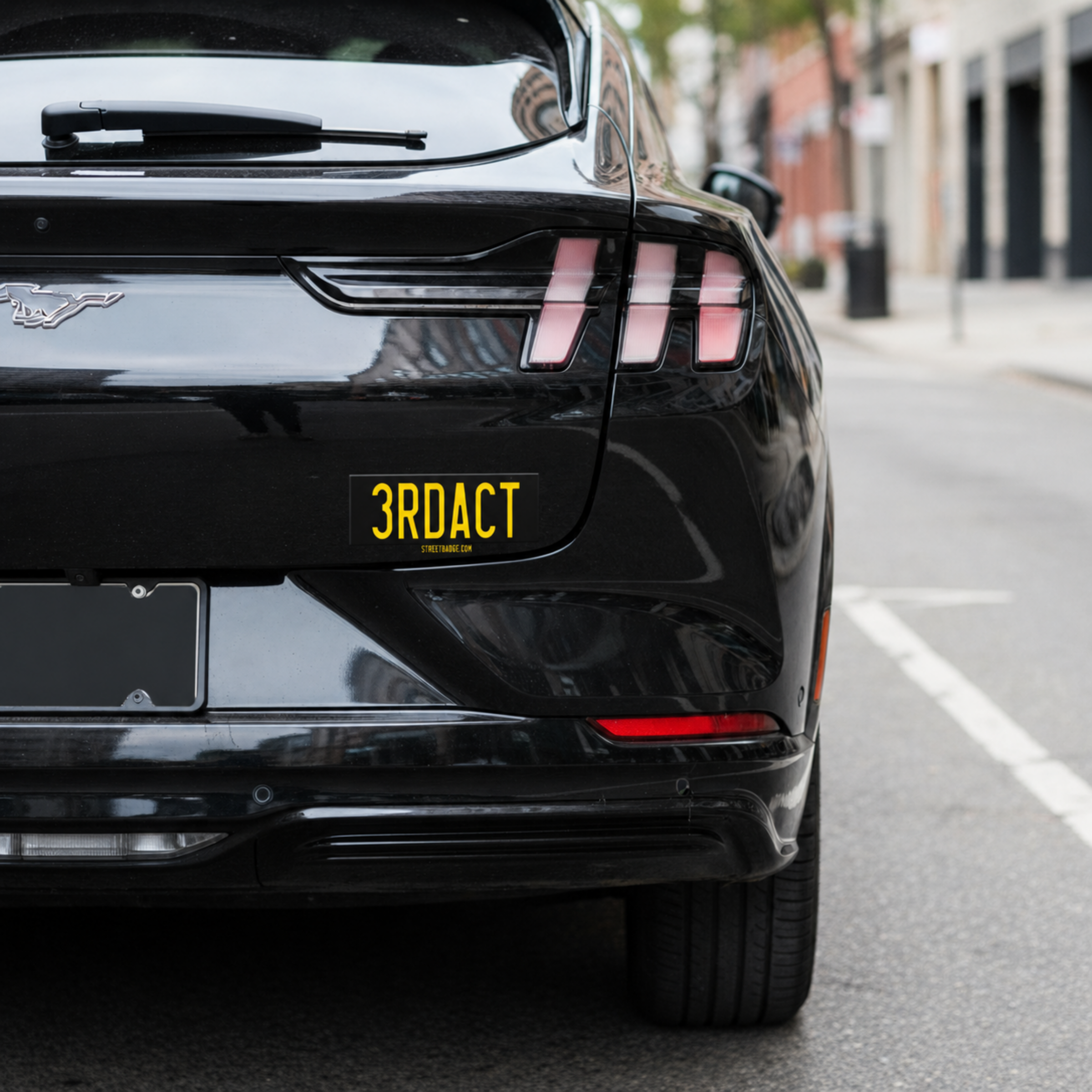 3RDACT bumper sticker | Backlinked to THIRD ACT climate action organization - Image 22