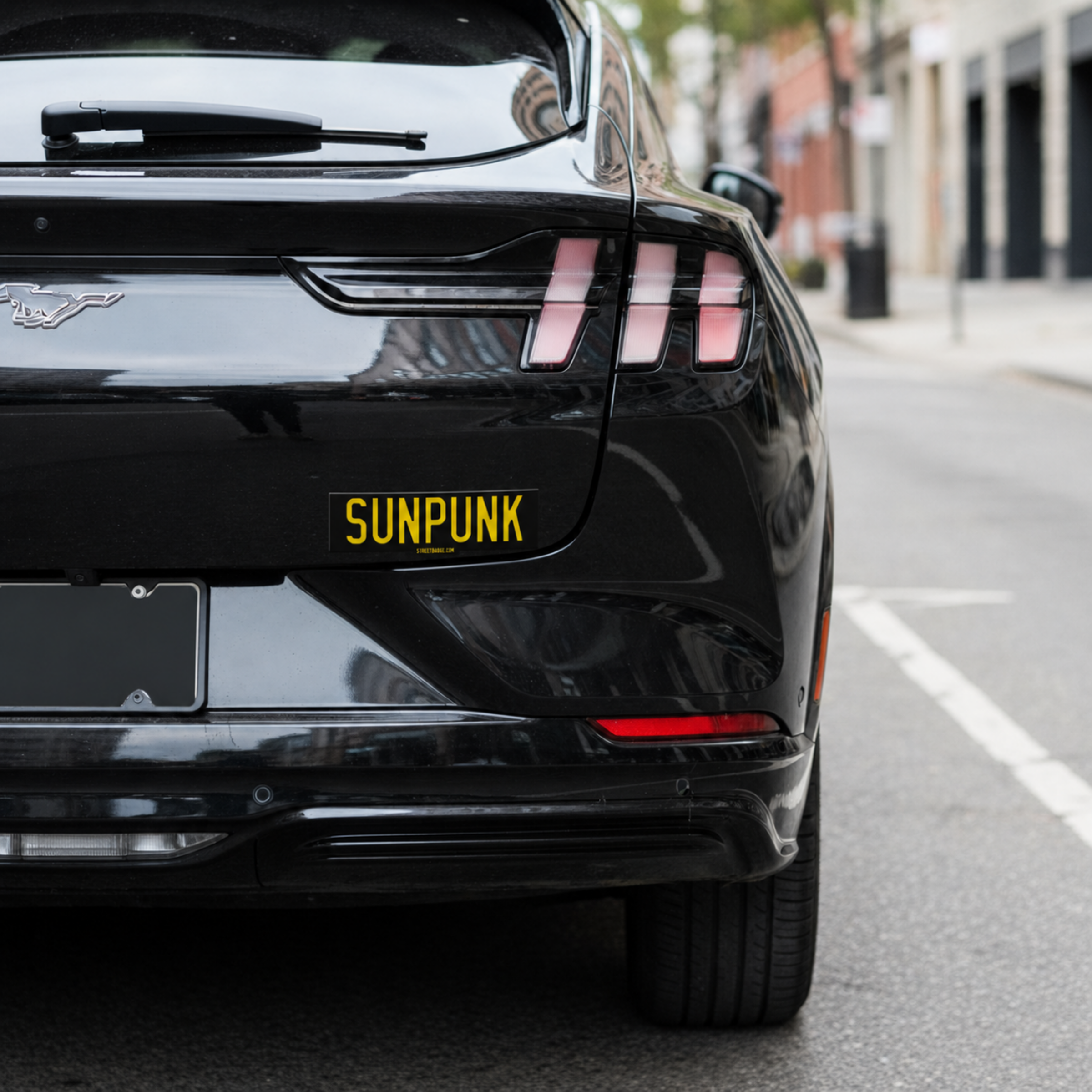 Sunpunk Bumper Sticker — Backlinked to SolarPunkPro Podcast, breaking down the real economics behind clean energy - Image 20