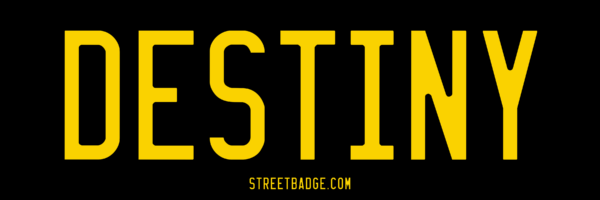 DESTINY Bumper Sticker