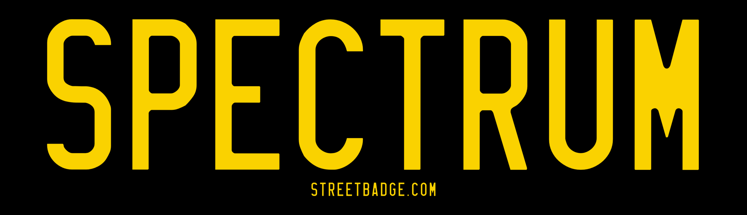 Spectrum Bumper Sticker | Support Autism Spectrum Disorder Foundation charity