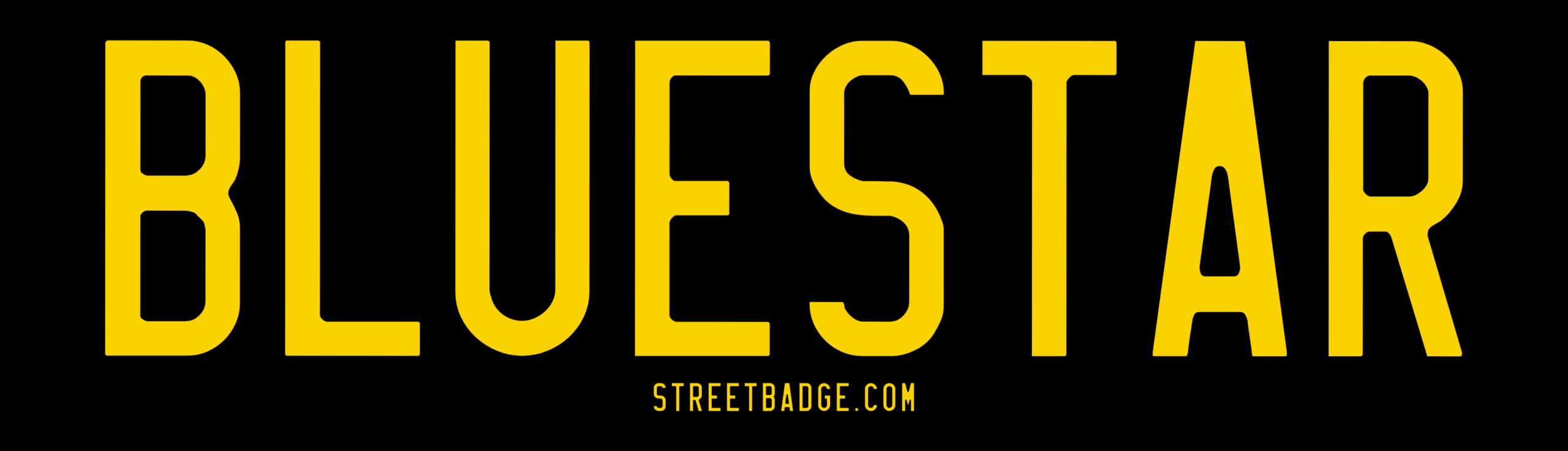 BLUESTAR Bumper Sticker | Support Blue Star Families charity
